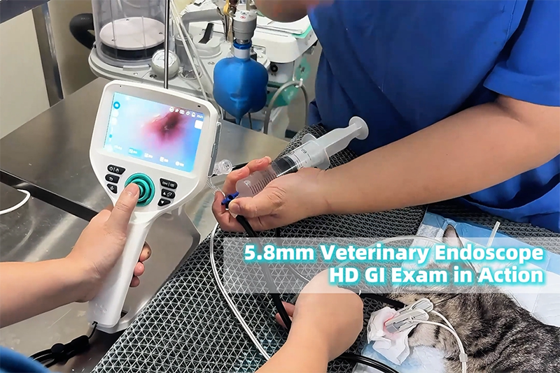SAPro veterinary endoscope