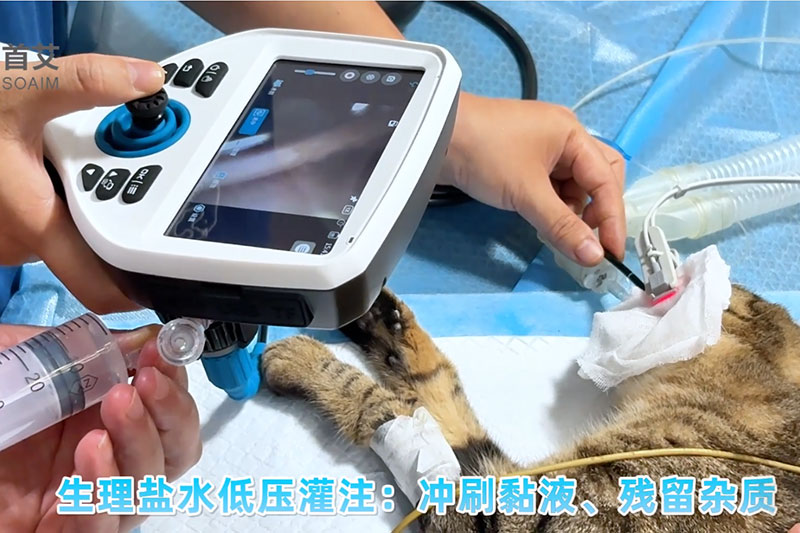 SOAIM Veterinary Endoscopy Solutions SOAIM Veterinary Endoscopy Solutions