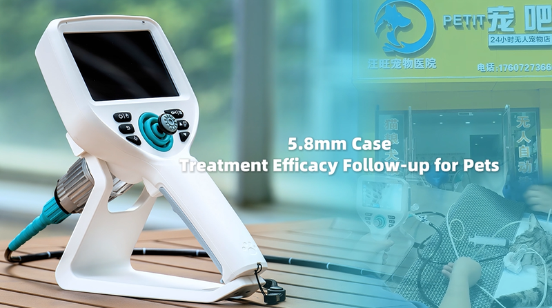 SAPro veterinary endoscope