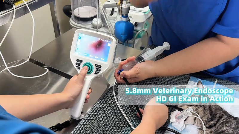 SAPro veterinary endoscope
