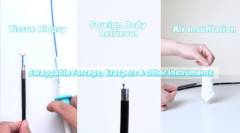 Veterinary Endoscope Accessories