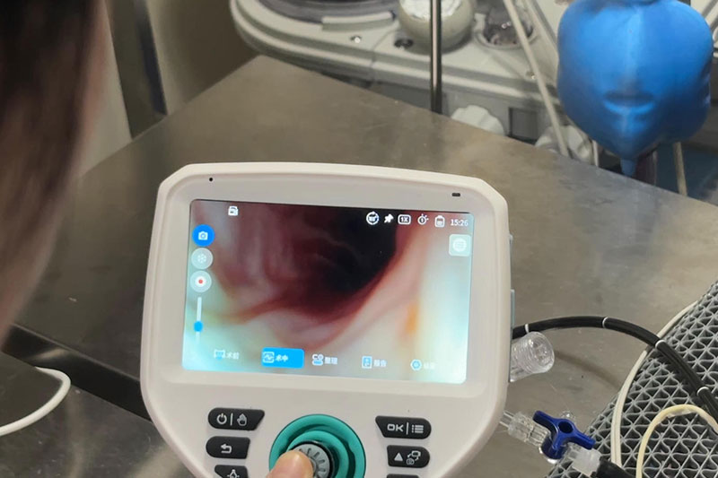 SAPro-W veterinary endoscope applications