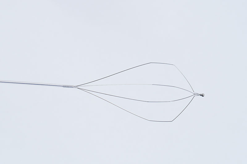 Veterinary endoscope accessories